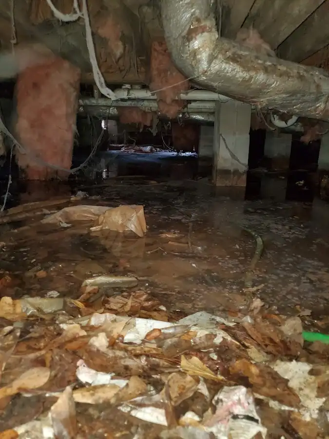 Crawl space flood assessment for Leak Detection & Repair in The Hammocks